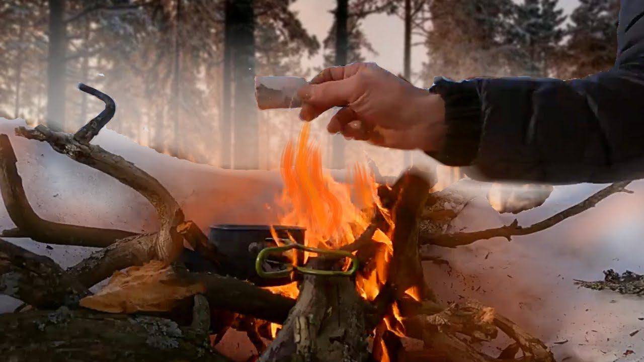 ЛЕСНОЙ ПРОМЫСЕЛ ДВА ДНЯ В ЛЕСУ!