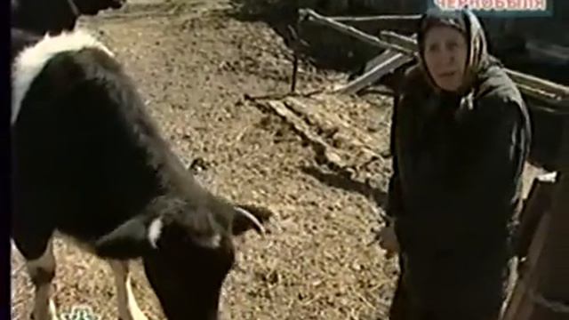 !!!тайны чернобыля!!! смотреть онлайн