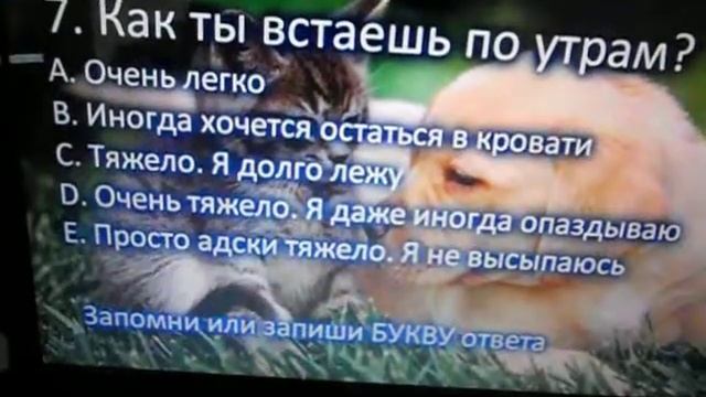 Какой зверёк для тебя. Тестик смотреть онлайн