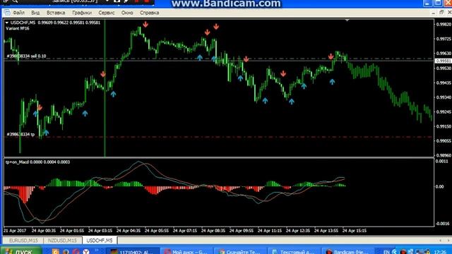 Индикатор Tipu MACD смотреть онлайн