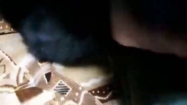 Оказание первой помощи коту, когда у него застряла кость во рту. смотреть онлайн