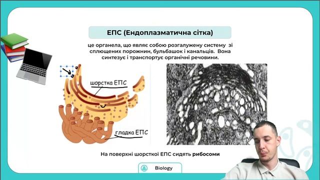 ВСІ органели на НМТ #біологія #нмт2024