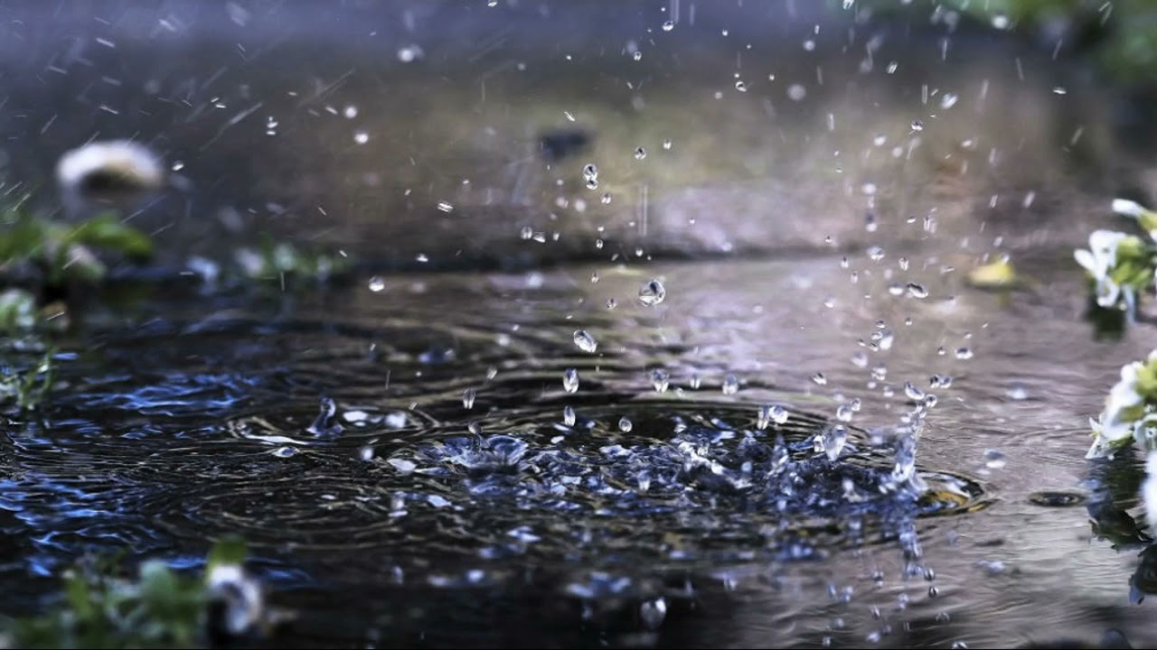 Relax Video