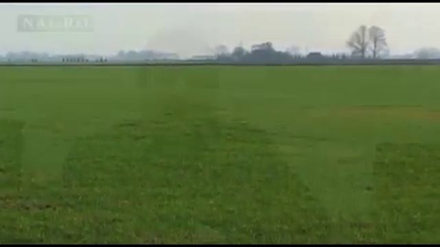 БИОудобрение NAGRO. Заказать тел. 8 977 530-86-12 смотреть онлайн