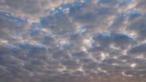 Аида Гарифуллина, Вокализ С. Рахманинова | Aida Garifullina, Rachmaninov 'Vocalise'