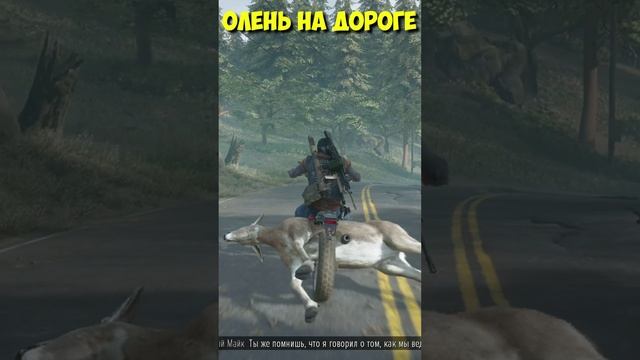 Олень на дороге #shorts #daysgone #жизньпосле #байк #олень смотреть онлайн