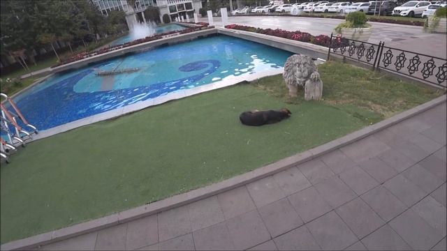 Стамбул: чечевичный суп, шашлык и продукты