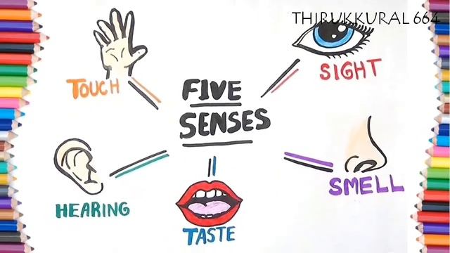 How to Teach numbers 1 to 10.... смотреть онлайн