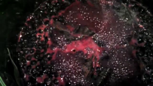 Вишневое варенье из черной рябины смотреть онлайн