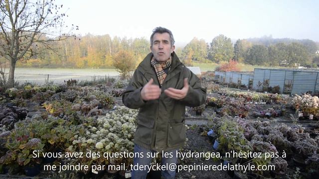 video novembre 2020 смотреть онлайн