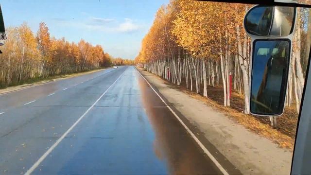 Аэропорт Когалым. На автобусе по городу Когалым. Siberia. Kogalym city. Сентябрь 2022 #когалым смотреть онлайн