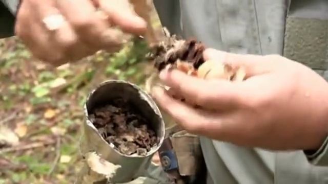 Выживание - лес - Факел в лесных условиях смотреть онлайн