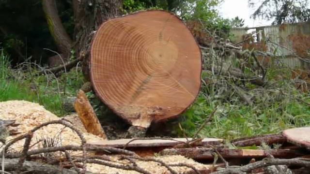 The Difference A Knot Makes смотреть онлайн