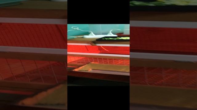 2023-03-14 смотреть онлайн