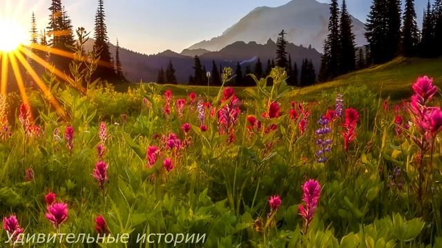 Верни её немедленно, она же богатая наследница - свекровь узнала, что её невестка миллионерша...