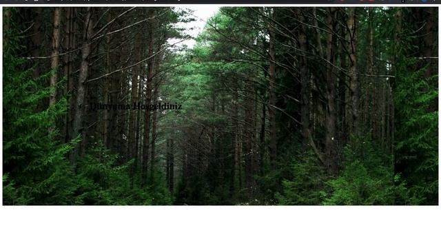 Arkaplan Resmi Görseli Ekleme HTML CSS (background-image) смотреть онлайн