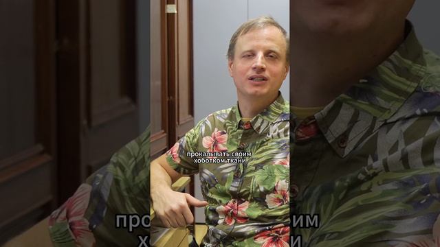 Бабочки-вампиры смотреть онлайн