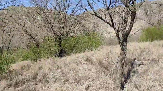 Czns Key Shat Program 2023 | #vlog #kohat #shortvlogkht смотреть онлайн