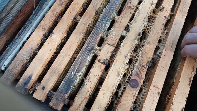 начало нового жизни весна 06.03.2019г.