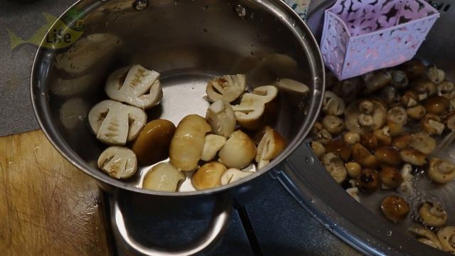 Секреты Творческой Реализации