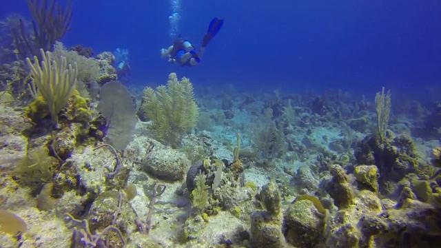 Diving Grand Turk - GoPro Hero3 Black, Backscatter Flip3 Filter & Quik Pod Explorer II Monopod смотреть онлайн