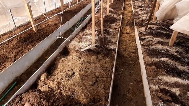 Томаты уже заждались!!! Теплица готова к высадки. смотреть онлайн