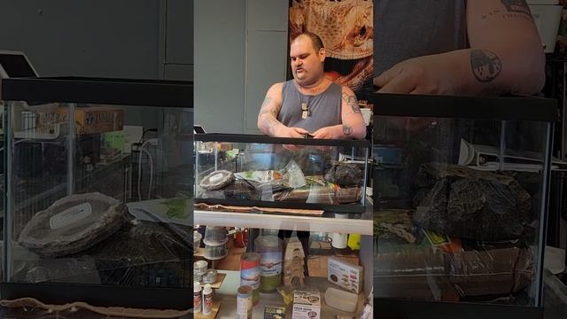 Baby Ball Python setup смотреть онлайн