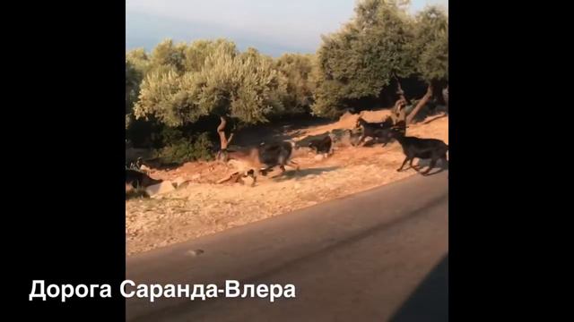 Албания 2019 | Albania 2019 смотреть онлайн