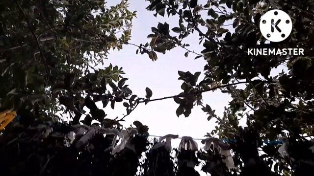 Руководство по Мастерству