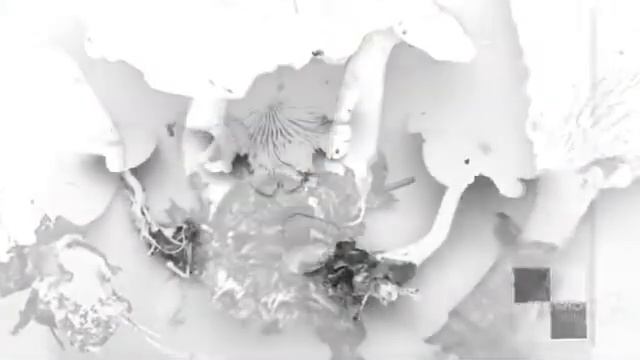 Clitocybe foetens - fungi kingdom смотреть онлайн