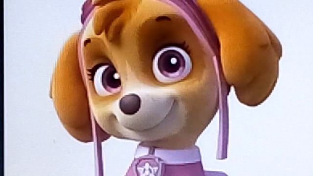 Песни в головах Щенячьего патруля. Часть 1. смотреть онлайн