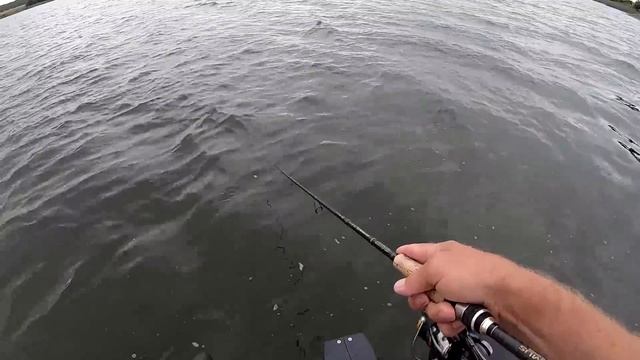 Воблер НА ЩУКУ который у меня хорошо ловит!!! Копия Deps Balisong 130SP. Рыбалка на спиннинг. смотреть онлайн