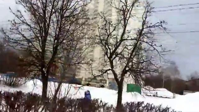 Щебетание воробьев смотреть онлайн
