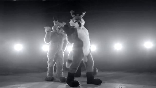 All The Single Furries!