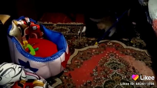 Доверчвая озорная Ириска играет с котиком😂 смотреть онлайн