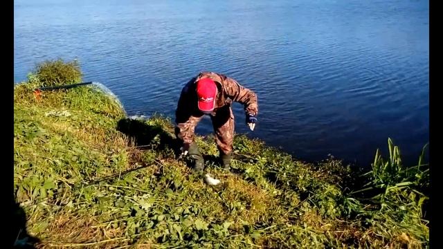 Соревнование Дмитровского рыболовного клуба смотреть онлайн