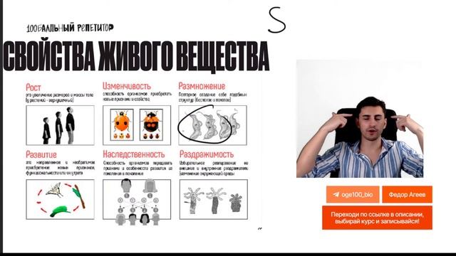 Свойства живого и уровни организации жизни. Задание 1 | Летняя школа – Федор Агеев смотреть онлайн