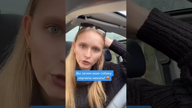 Отгадали как звали собаку? #рек #история #кинолог #блог #переписка #собака #наработе #йорк смотреть онлайн