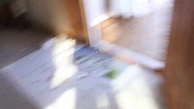 Psycho Kid Torches Christmas Tree