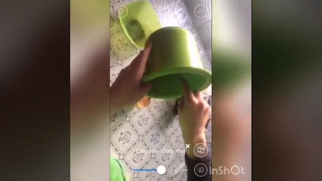 Корейское кофе))) ДАЛЬГОНА топ рецепт из тик тока ) смотреть онлайн