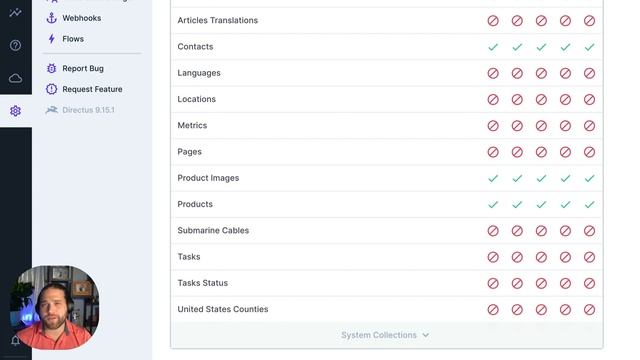 Directus Roles and Permissions Overview смотреть онлайн