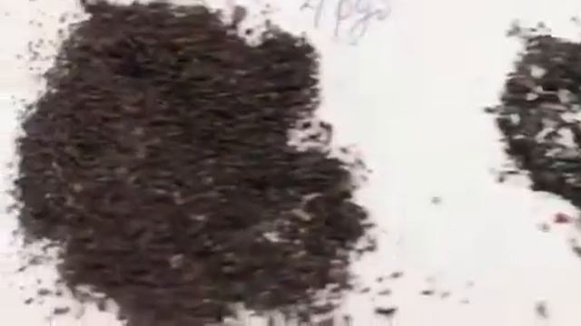 Осторожно, чай! Смотри,что пьёшь? смотреть онлайн