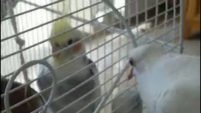 и такая бывает любовь.... смотреть онлайн