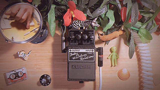 📦Blackface In A Box | Boss FDR-1 | Fender 65 Deluxe Reverb смотреть онлайн