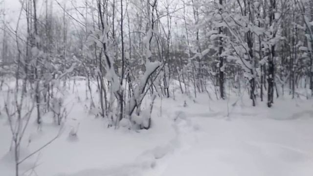Гибель охотника (медвежья берлога) смотреть онлайн