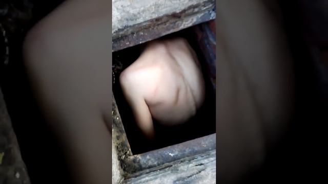 Как правильно забрать долг (пособие на русском языке) смотреть онлайн