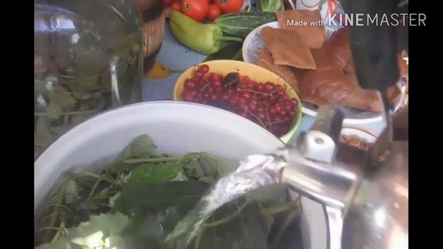 ПОЛЕЗНЫЙ КВАС БЕЗ дрожжей из листочков и побегов винограда смотреть онлайн