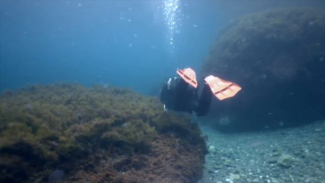 Зимнее Чёрное море смотреть онлайн