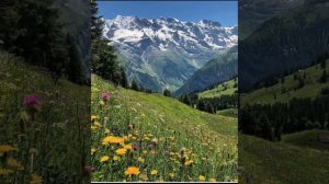 Шабан Шабанов и Гахрабат Рамазанова- Замана