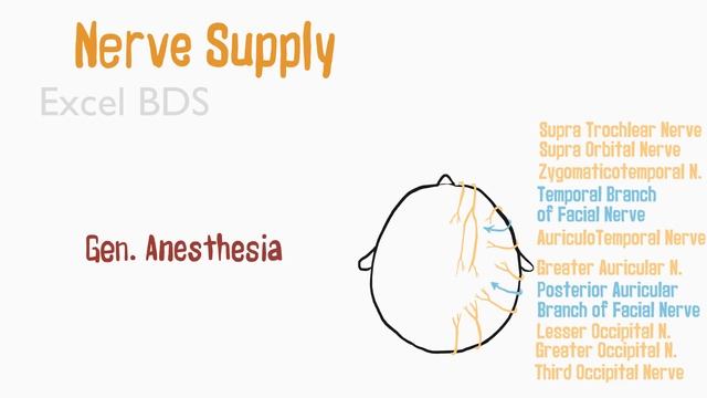 Scalp смотреть онлайн